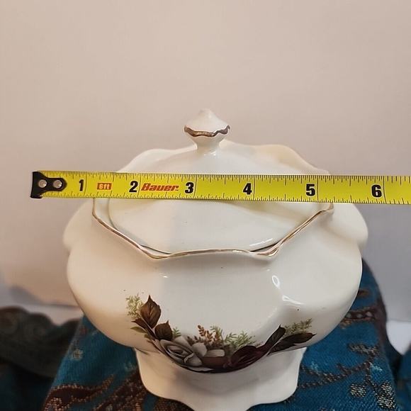 The House Of Webster Ceramics Prussian Covered Biscuit Jar Roses - Picture 6 of 12